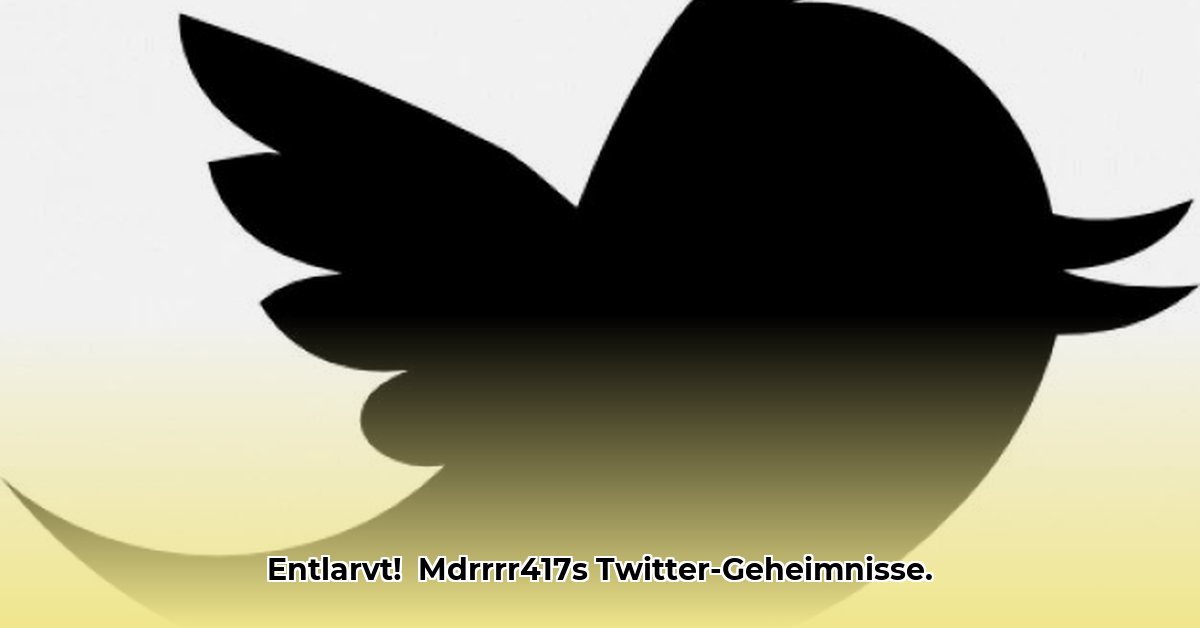 twitter-mdrrrr417